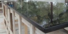 Black Pearl Granite Slabs