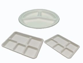 Compartment Bio-degradable Plates