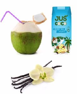 Fresh Coconut Milk with Vanilla Flavor