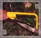 Pruning Saw