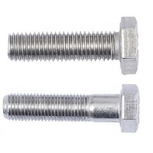 Stainless Steel 304 Hex Bolt