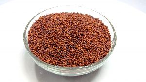 Ragi Millet Seeds