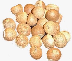Pure Areca Nuts