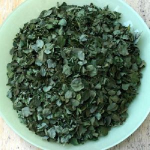 dry moringa leaves