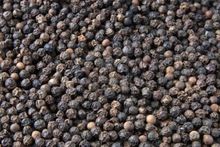 Indian black pepper seed 500gl/550gl