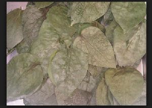 Natural Dried Betel Leaves