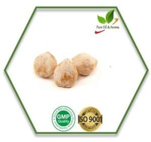 Kukui Nut Carrier Oil