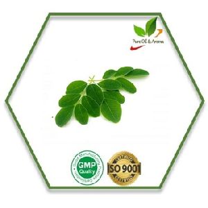 Moringa Carrier Oil