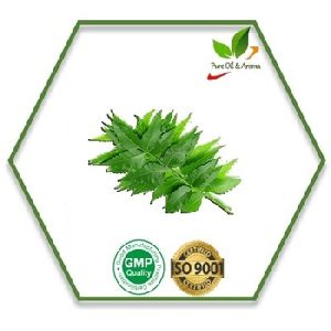 Neem Seed Oil, Supply Type : OEM/ODM