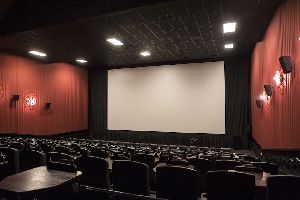 Auditorium Projector Screen