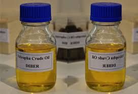 Crude Jatropha Oil