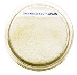 Papain Granules
