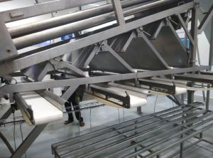 Automatic Grading &AMP; Filth Washing Machine For Shrimp Headless &AMP; Shell-on Variety