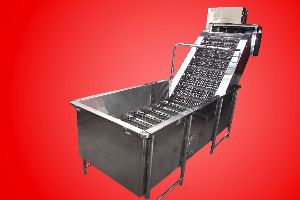 Fruits & Vegetable Washing System 1