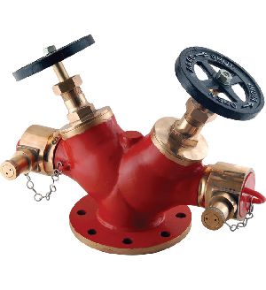 Double Outlet Valve