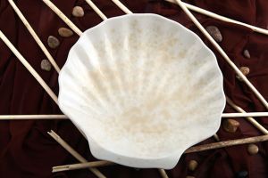 Earth Brown Premium Shell Serving Platter