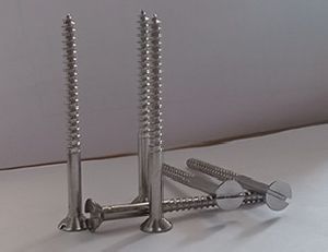 Stainless Steel Screws