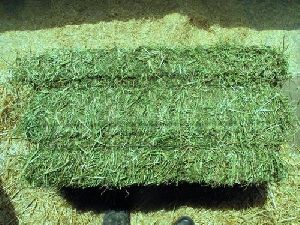 Animal Feeds Cheap Alfalfa Hay