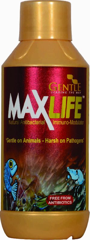 MaxLife Powder Feed Supplement