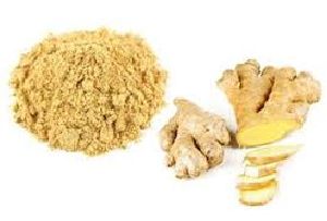Ginger Extract (Zingiber officinale) Gingerol5%