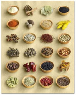 indian spices