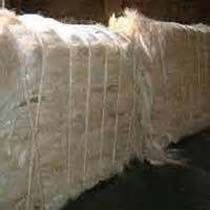 Sisal Fiber