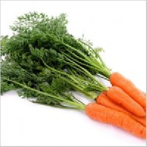 English Carrots