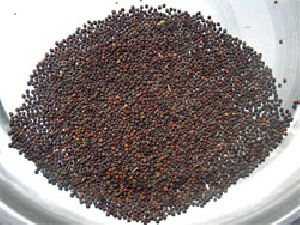 Jakhiya Seeds