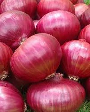 onion