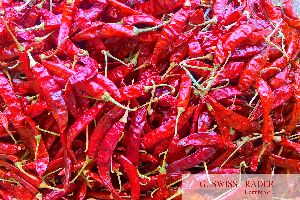 Dried Red Chilli - (S-334) A1 Quality