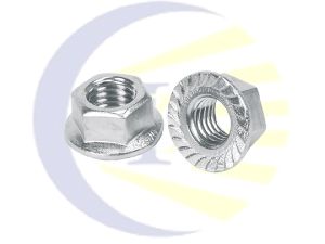 Stainless Steel Flange Nut (SS Flange Nut)