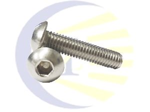 Stainless Steel Button Head Screw