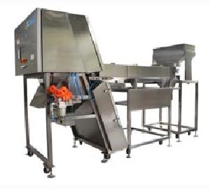 Color Sorting Equipment