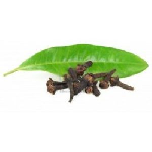 Clove Leaf Oil