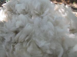 What does pure wool look like?