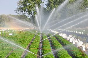Sprinkler Irrigation Service