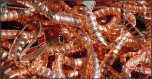 Copper Wire Scrap