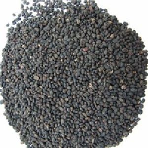 Bawchi Seeds