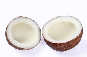 coconut copra