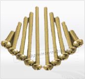 Silicon Bronze Screws