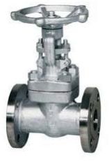 Forged Steel Integral Flanged End Valve