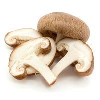 Mushroom wild morales Jammu quality number 1