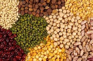 indian pulses