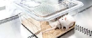 Mice Observation Cage