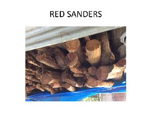 Red Sanders Wood