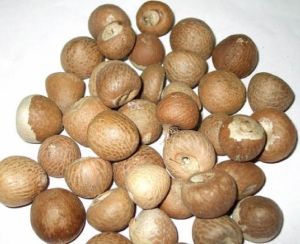 Solid betel nuts, Packaging Type : Brown, Packaging Size : 20-25 kg