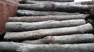 Sal Wood Logs