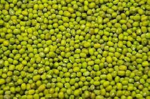 Quality Green Mung Beans for sale