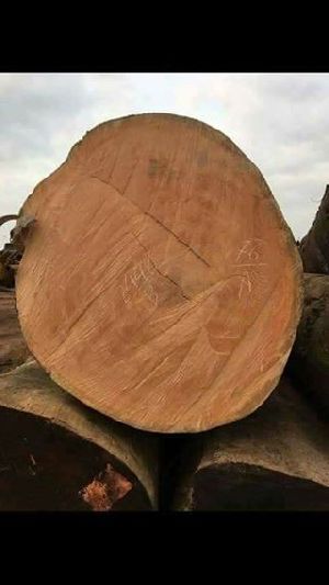 TEAK WOODS,TIMBER AND AFRICAN LOGS FOR SALE
