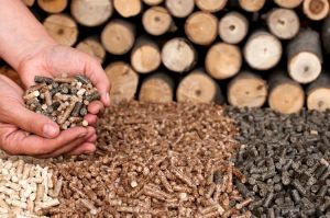 Wood Pellets- Low Price